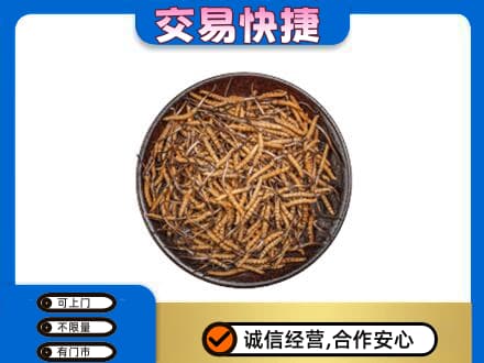 信阳商城县回收散虫草